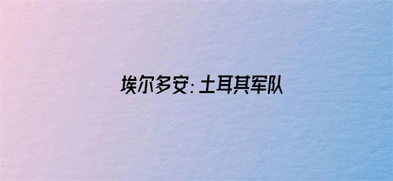 埃尔多安：土耳其军队击毙IS头目